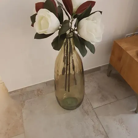 Oma * Vescovato